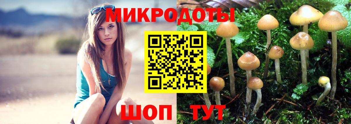 Галлюциногенные грибы MAGIC MUSHROOMS  Вход с VPN  Шадринск  Галлюциногенные грибы MAGIC MUSHROOMS 