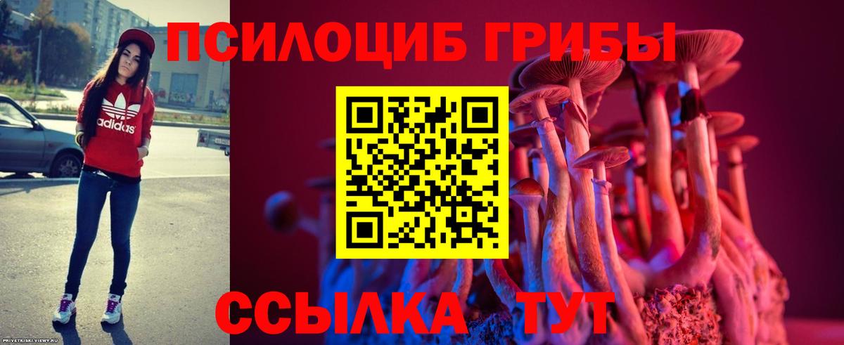 Псилоцибиновые грибы Magic Shrooms Шадринск